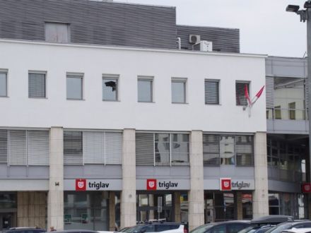 Novo mesto, prodamo skladišče, 268 m2